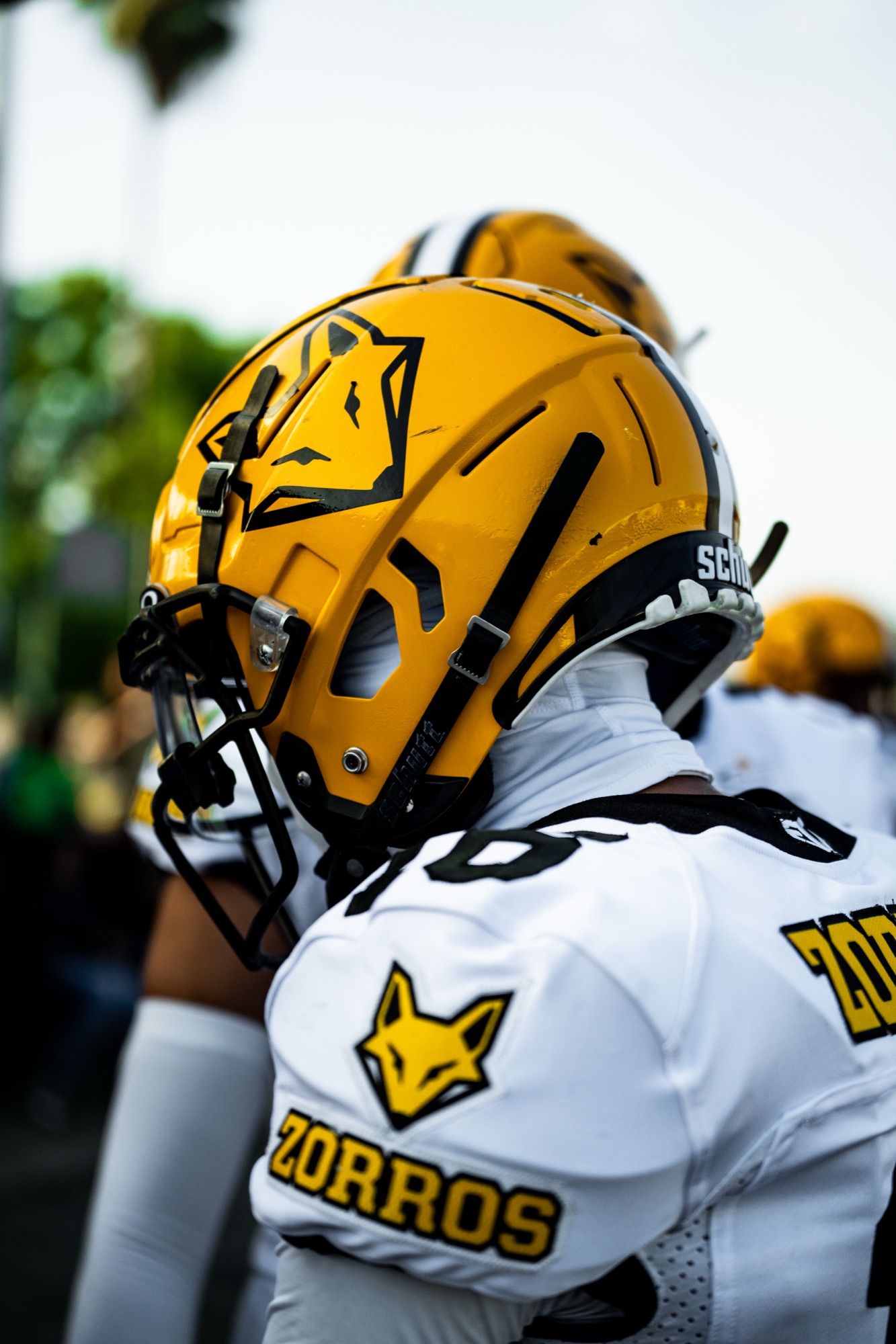 Zorros helmet