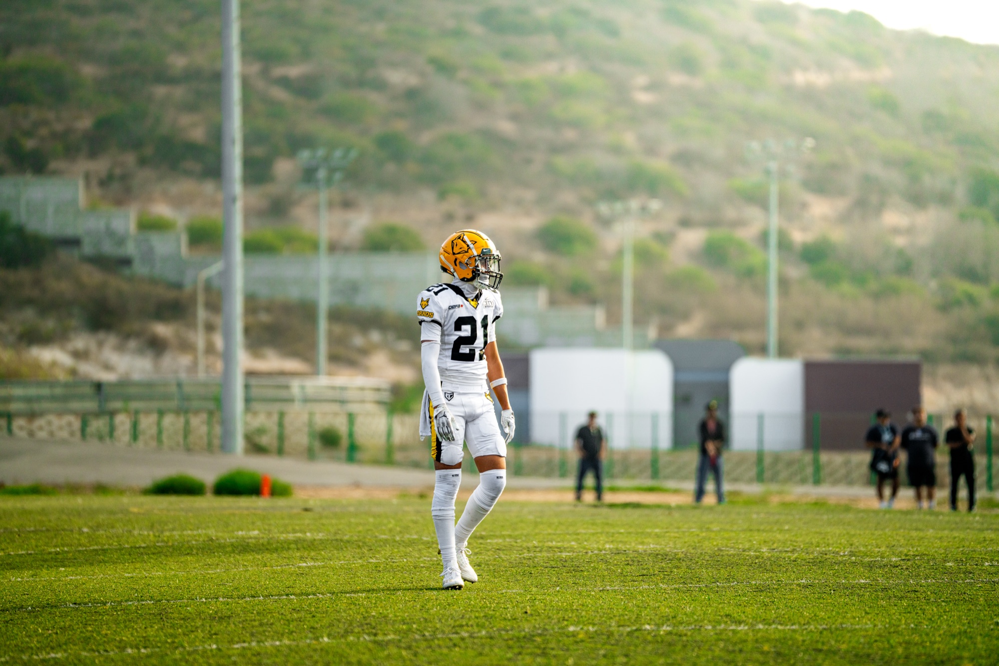 Zorros #21 wide field